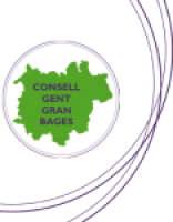 Logotip del consell