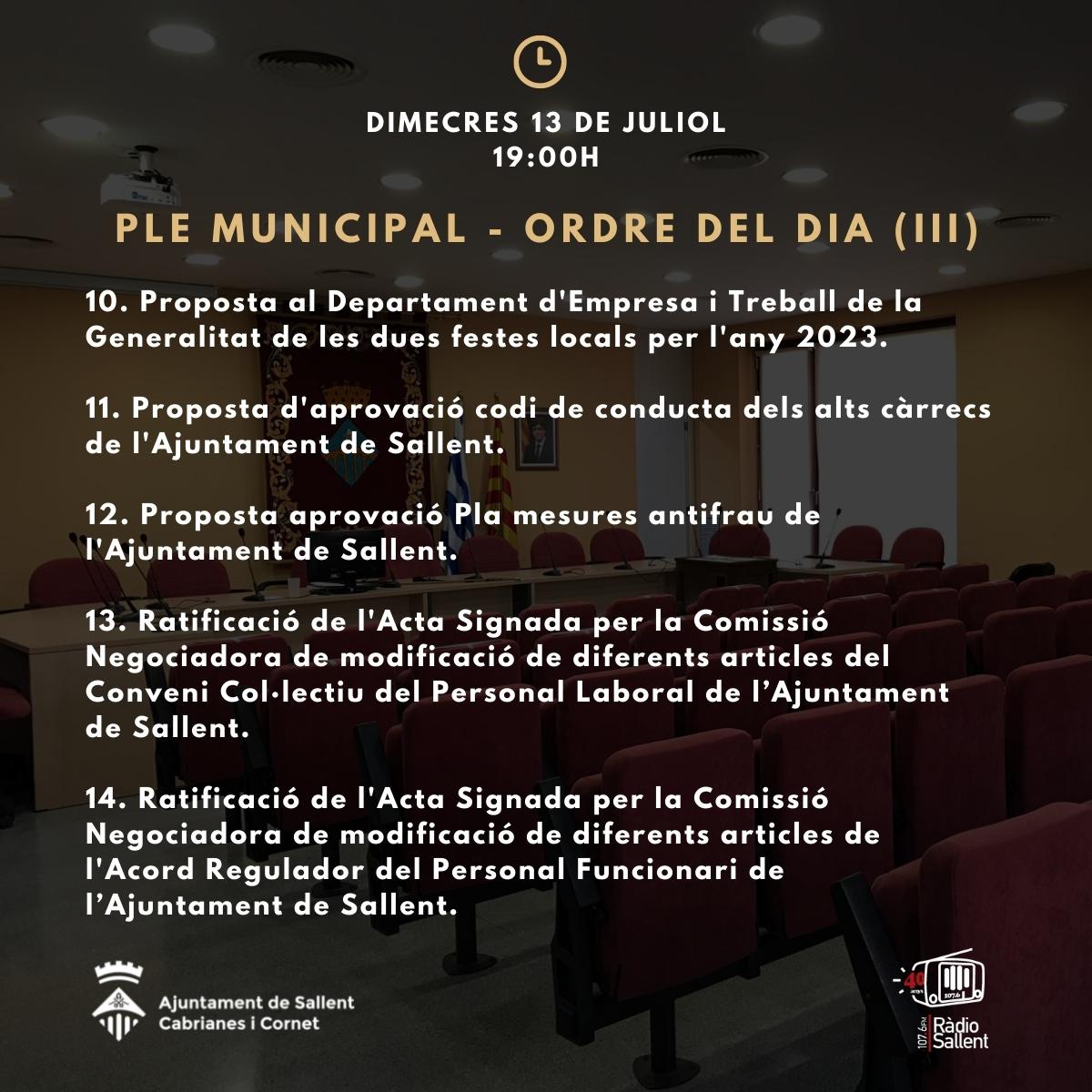 Ple municipal ordinari 13 juliol 2022