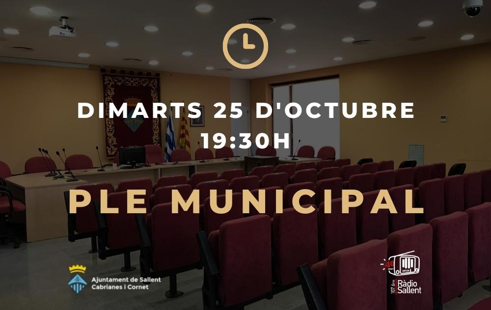 Convocatòria del Ple Municipal Extraordinari del 25 d'octubre de 2022